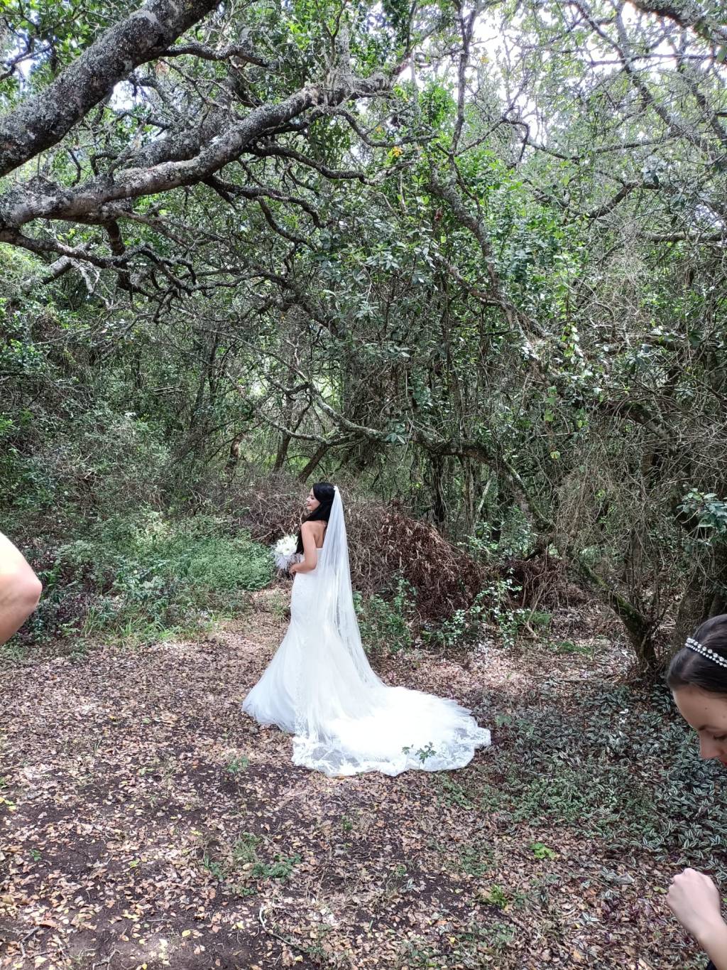 My Forest Fairytale&nbsp;Wedding